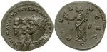 Carausius.jpg