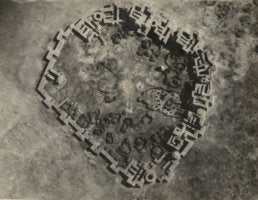 242BD309-4D46-497F-8B3D-CC3AAD139D0D.jpeg
